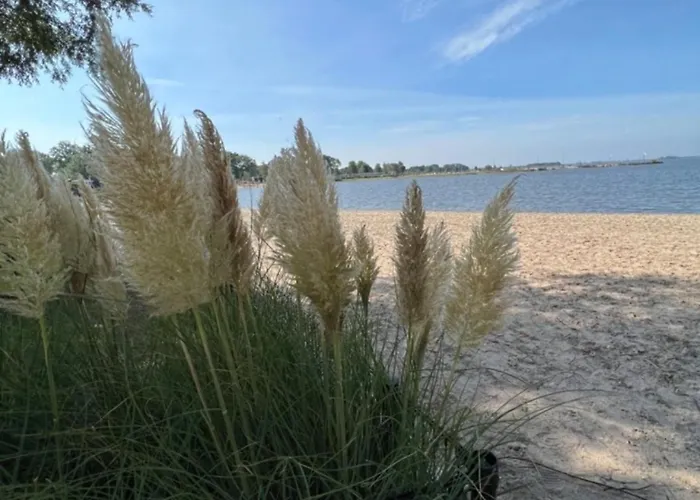 Beachhouse * Hulshorst